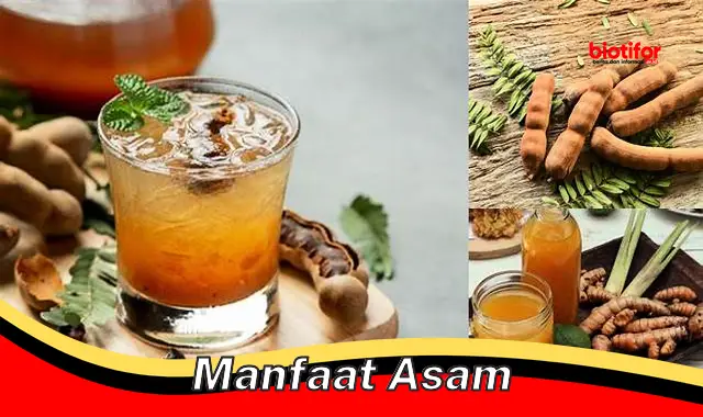 manfaat asam manfaat asam