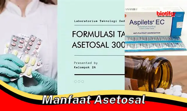 manfaat asetosal manfaat asetosal