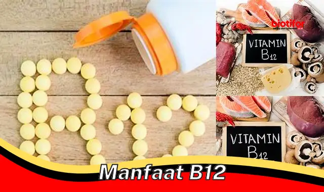 manfaat b12 manfaat b12
