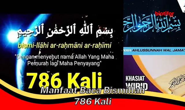 Temukan Rahasia Manfaat Baca Bismillah 786 Kali yang Jarang Diketahui