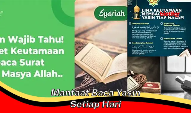 Temukan Manfaat Baca Yasin Setiap Hari yang Jarang Diketahui