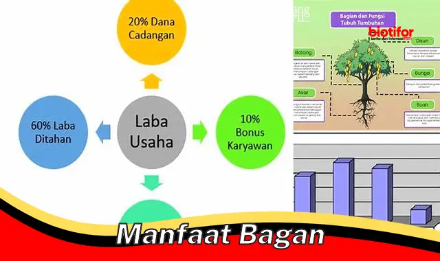 Temukan Manfaat Bagan yang Jarang Diketahui