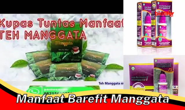 manfaat barefit manggata manfaat barefit manggata