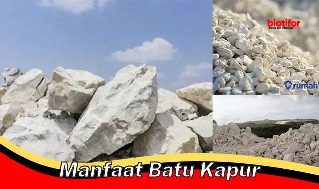 Temukan Manfaat Batu Kapur yang Jarang Diketahui