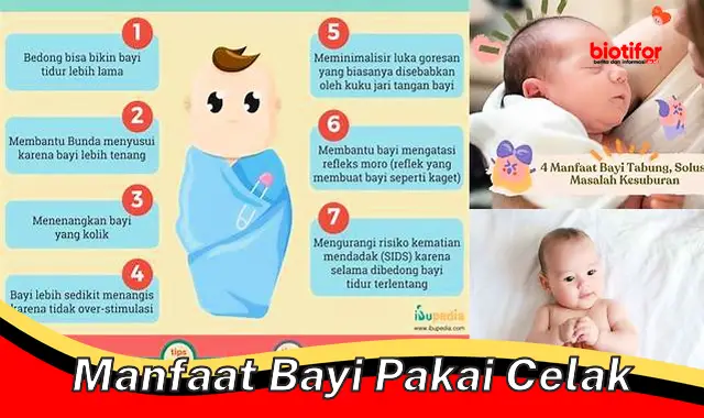 manfaat bayi pakai celak manfaat bayi pakai celak
