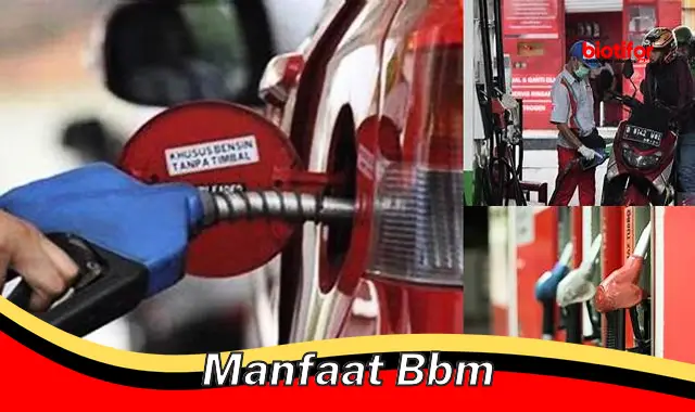 Temukan Manfaat BBM yang Perlu Anda Ketahui