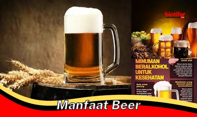 manfaat beer manfaat beer