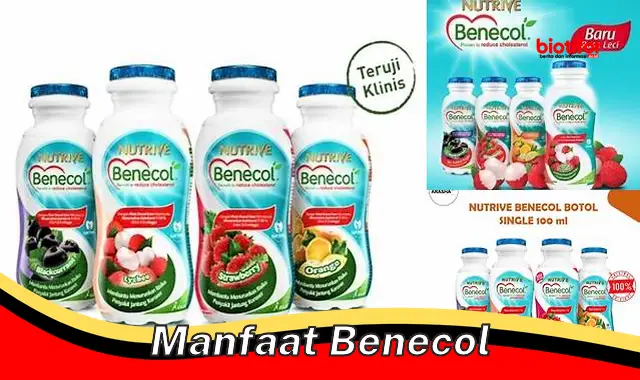 Temukan Rahasia Benecol yang Jarang Diketahui, Manfaat yang Perlu Anda Tahu