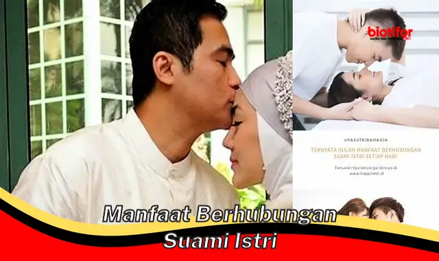 manfaat berhubungan suami istri manfaat berhubungan suami istri