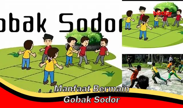 Temukan Manfaat Bermain Gobak Sodor yang Jarang Diketahui