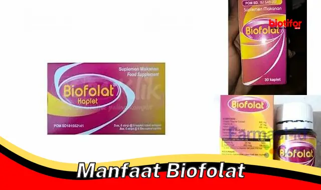 Manfaat Biofolat: Temuan dan Wawasan yang Mengejutkan yang Perlu Anda Tahu