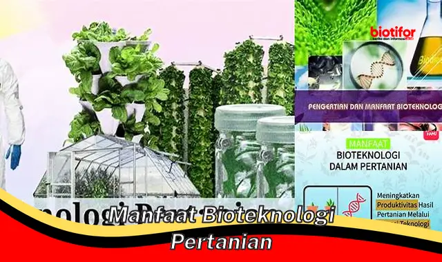 manfaat bioteknologi pertanian manfaat bioteknologi pertanian