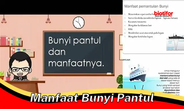 manfaat bunyi pantul manfaat bunyi pantul