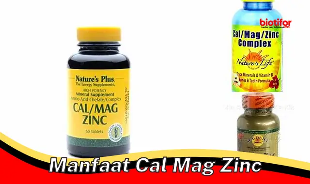 manfaat cal mag zinc manfaat cal mag zinc