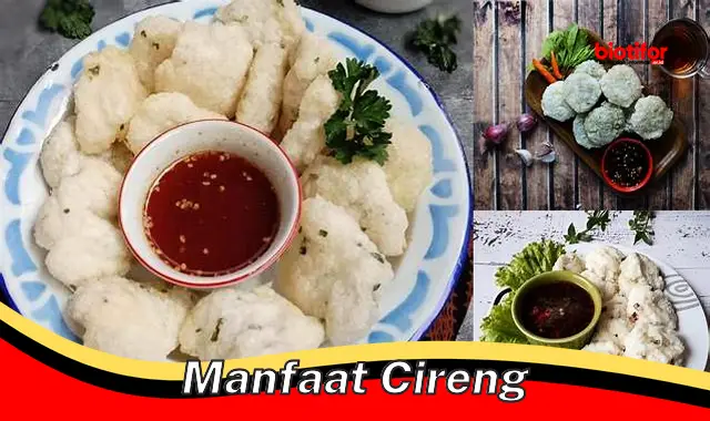 manfaat cireng manfaat cireng