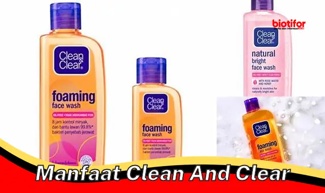 Temukan Manfaat Clean and Clear yang Belum Diketahui Banyak Orang