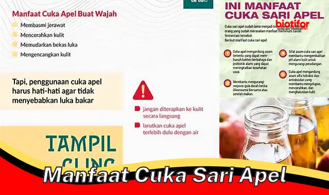 Temukan Khasiat Cuka Sari Apel yang Jarang Diketahui