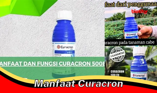 Temukan Manfaat Curacron yang Perlu Anda Tahu