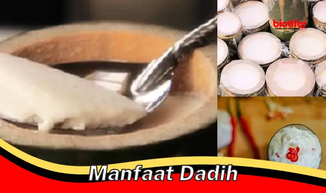 manfaat dadih manfaat dadih
