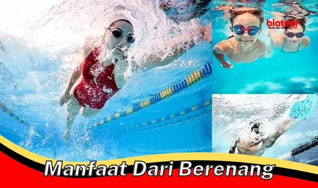 manfaat dari berenang manfaat dari berenang