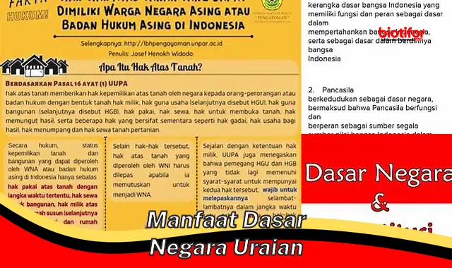 Temukan Manfaat Dasar Negara yang Belum Diketahui