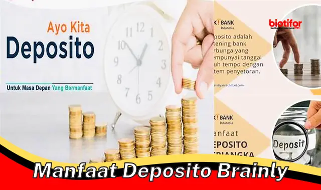 Manfaat Deposito Brainly: Temuan Berharga yang Jarang Diketahui