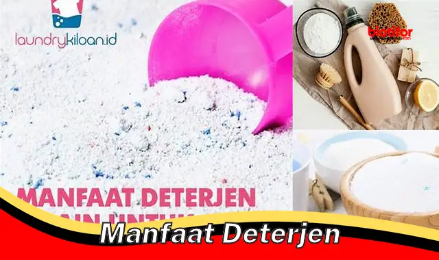 manfaat deterjen
