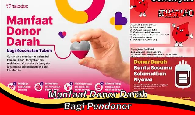 Temukan Manfaat Donasi Darah Bagi Pendonor yang Jarang Diketahui