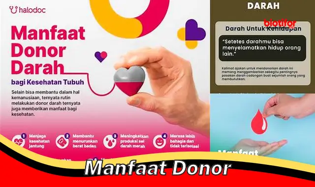 Temukan Manfaat Donor yang Jarang Diketahui