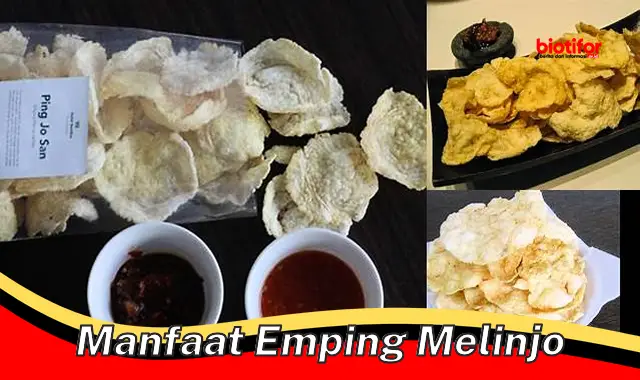 manfaat emping melinjo manfaat emping melinjo