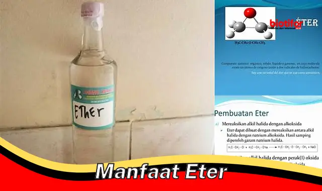 manfaat eter manfaat eter