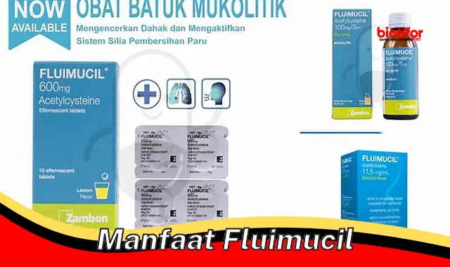 Temukan Manfaat Fluimucil yang Anda Butuhkan