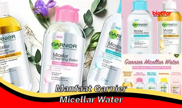 Manfaat Garnier Micellar Water