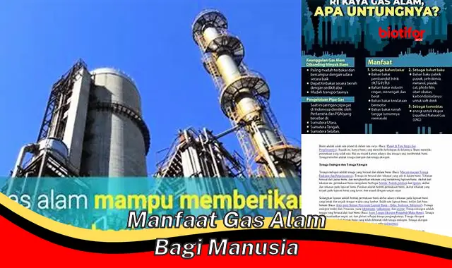 Temukan Manfaat Gas Alam yang Perlu Anda Ketahui