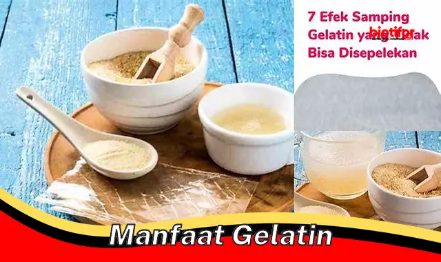 Temukan Manfaat Gelatin Yang Jarang Diketahui