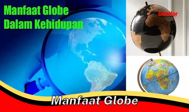 Temukan Manfaat Globe yang Jarang Diketahui