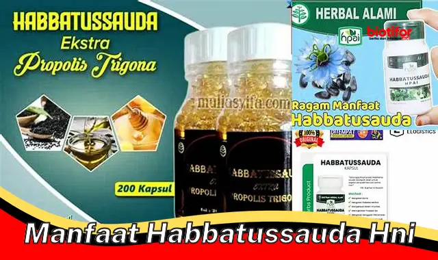 manfaat habbatussauda hni manfaat habbatussauda hni