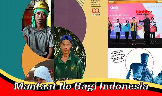 manfaat ilo bagi indonesia