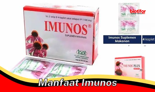 manfaat imunos manfaat imunos