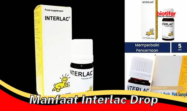 Temukan Manfaat Interlac Drop yang Perlu Anda Ketahui!