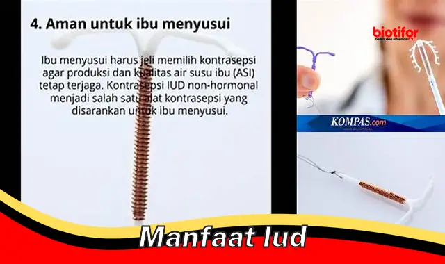 Temukan Manfaat IUD yang Jarang Diketahui, Wajib Tahu!