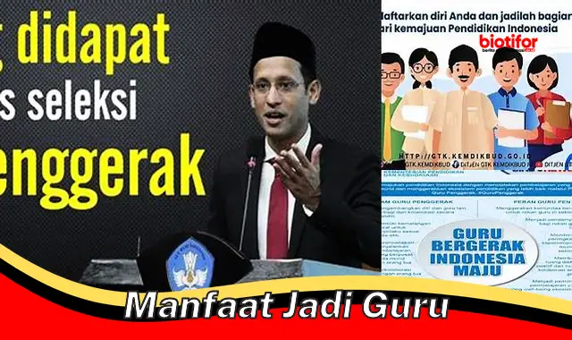 manfaat jadi guru manfaat jadi guru