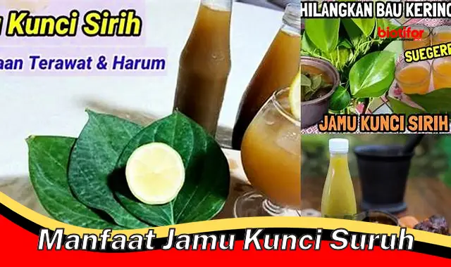 Temukan Manfaat Kunci Suruh yang Jarang Diketahui