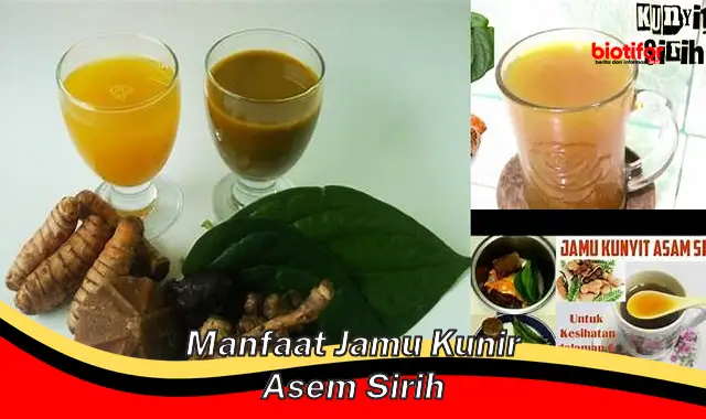 manfaat jamu kunir asem sirih manfaat jamu kunir asem sirih