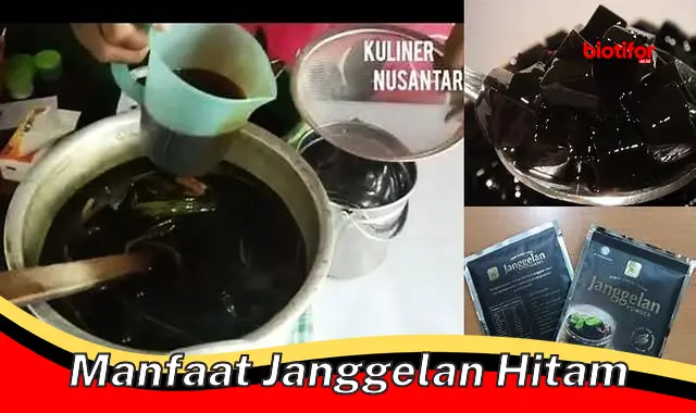 Temukan 5 Manfaat Janggelan Hitam yang Jarang Diketahui