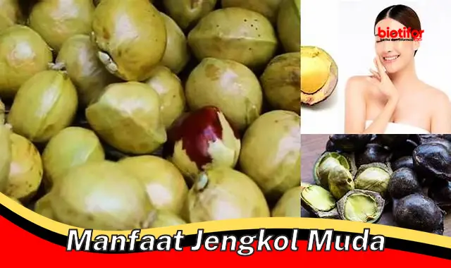 5 Manfaat Jengkol Muda yang Perlu Kamu Tahu