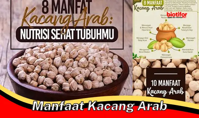 Temukan Segudang Manfaat Kacang Arab yang Jarang Diketahui