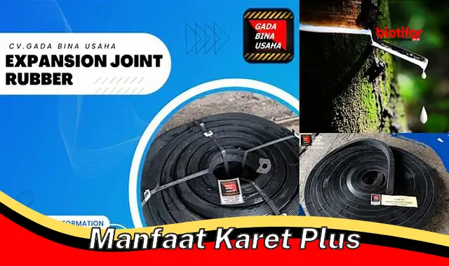 manfaat karet plus manfaat karet plus