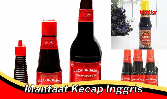 Temukan Manfaat Kecap Inggris yang Jarang Diketahui