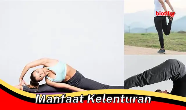 Temukan 5 Manfaat Kelenturan yang Jarang Diketahui